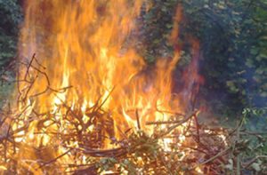 brulage à l'air libre des dechets verts